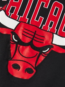 NAME IT Bulls Sweatshirt NBA Black